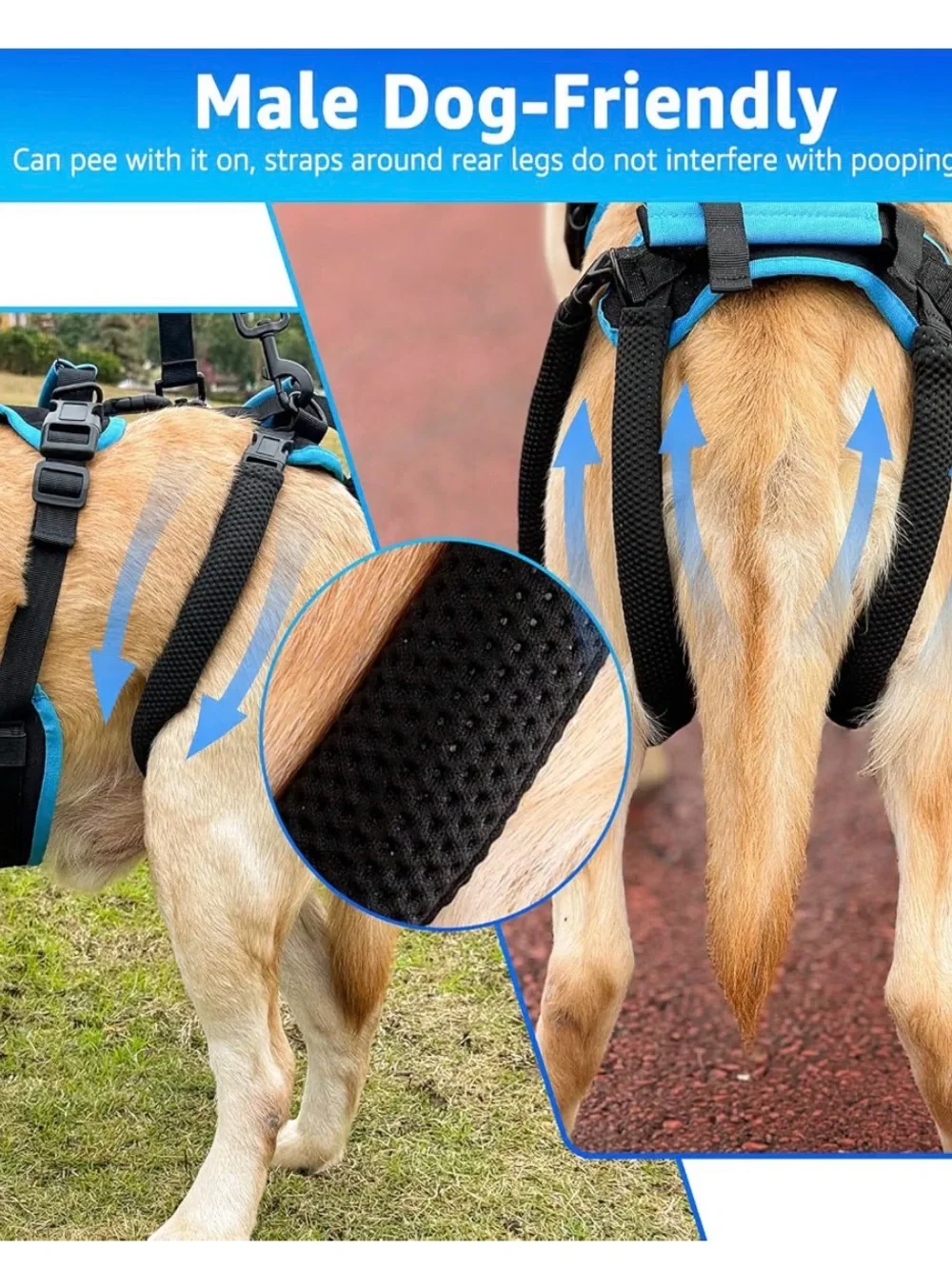 Blue Dog Support Harness with Lift Handle and Adjustable Straps